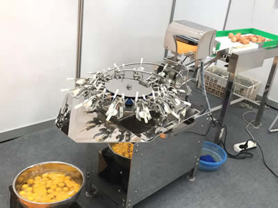 全自動(dòng)磕蛋機(jī)